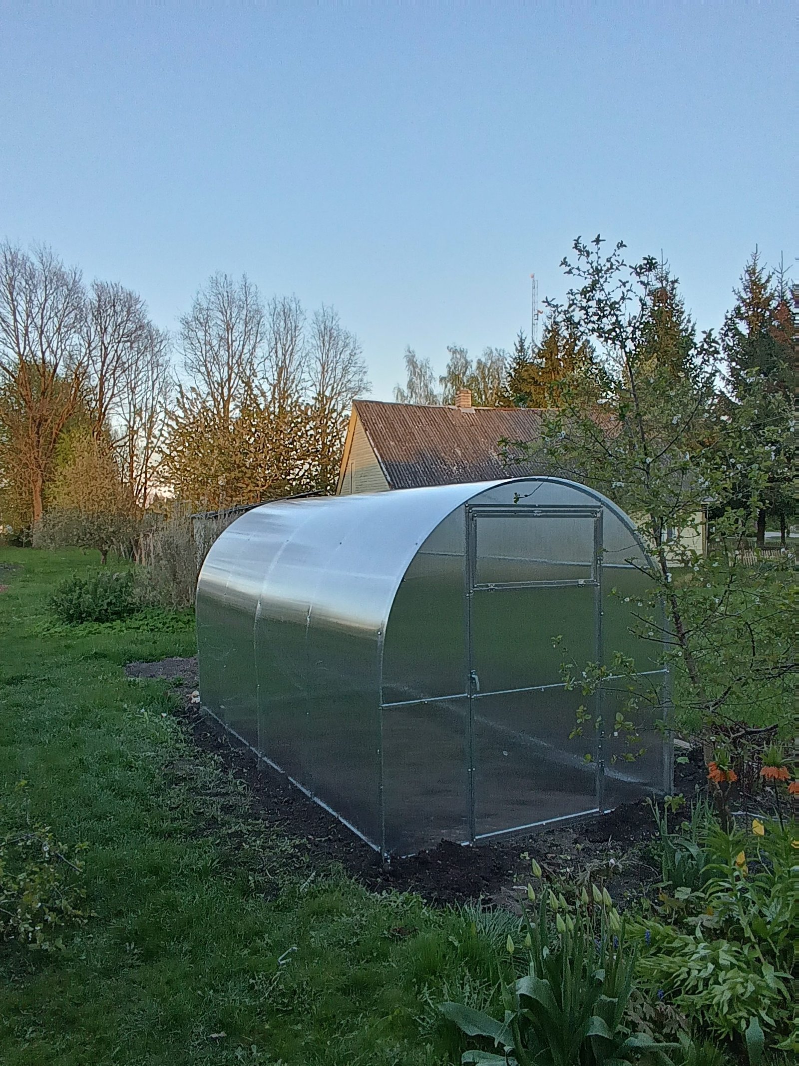 IMG_20240428_201857 – Smart Five, MB Mažiukas šiltnamis