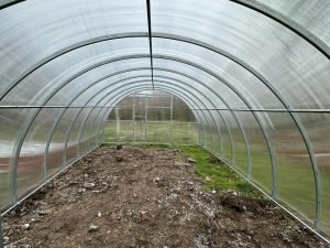 Šiltnamio Area vidus