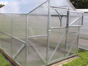 Šiltnamis clasic atidarytas